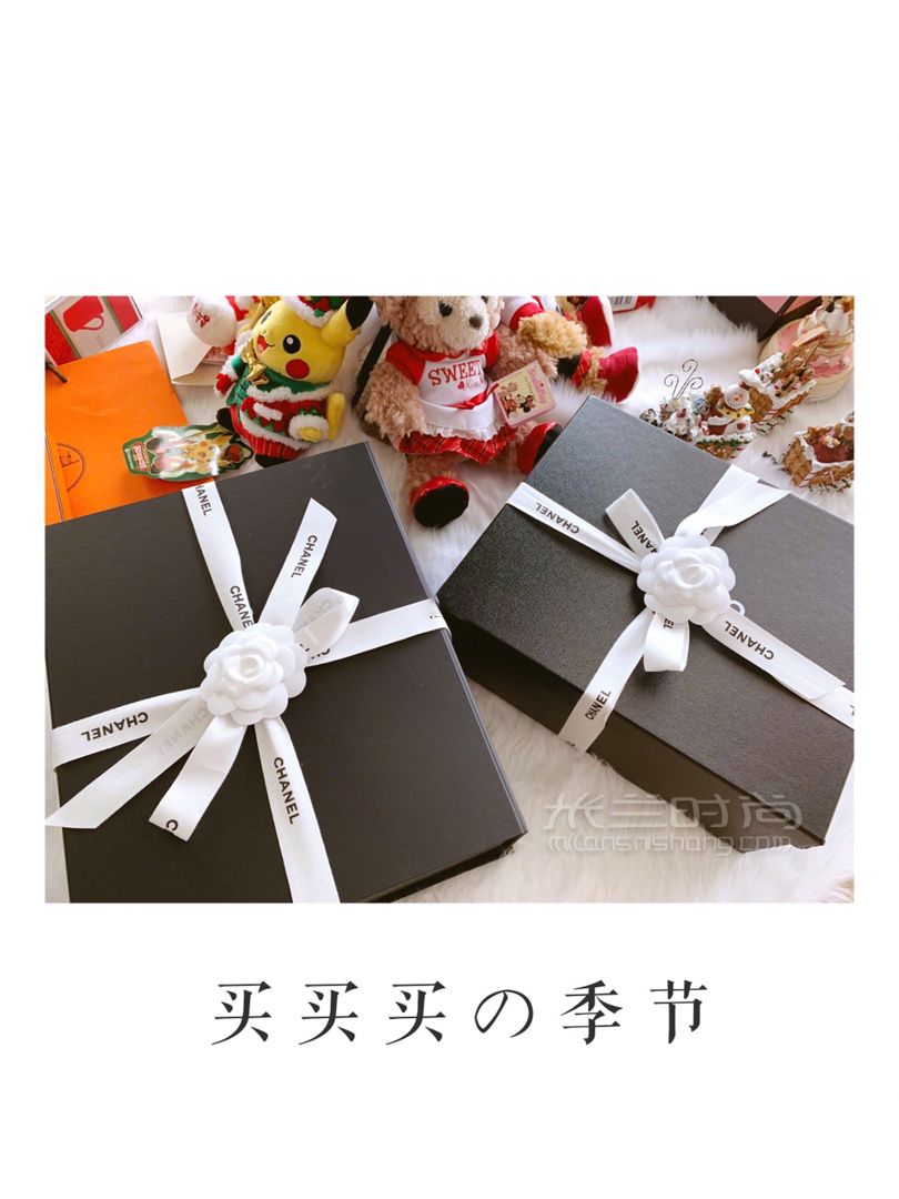 【Chanel】2019春夏最火珍珠包淺米色中號(hào) (5)