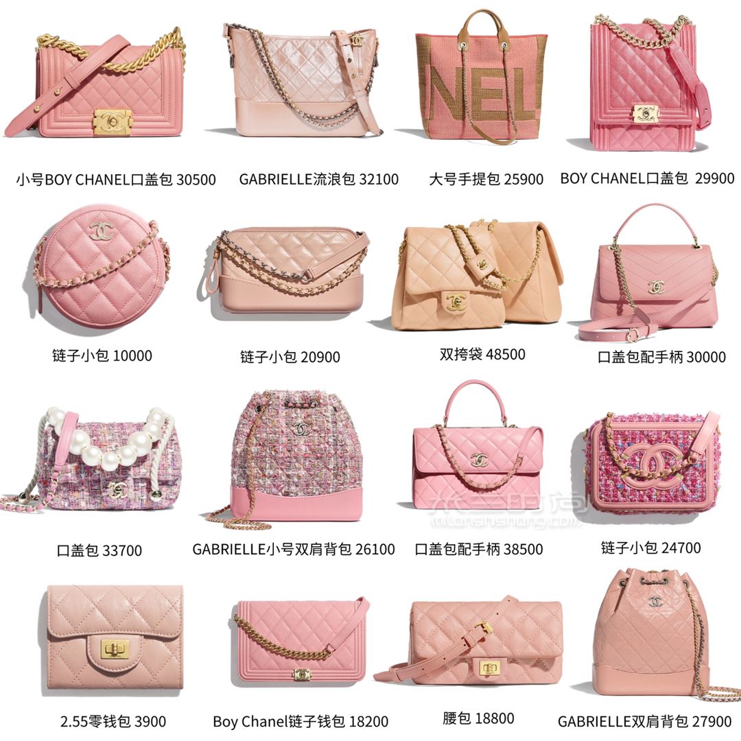 天啦嚕Chanel包包2019春夏新款太美了 (1)