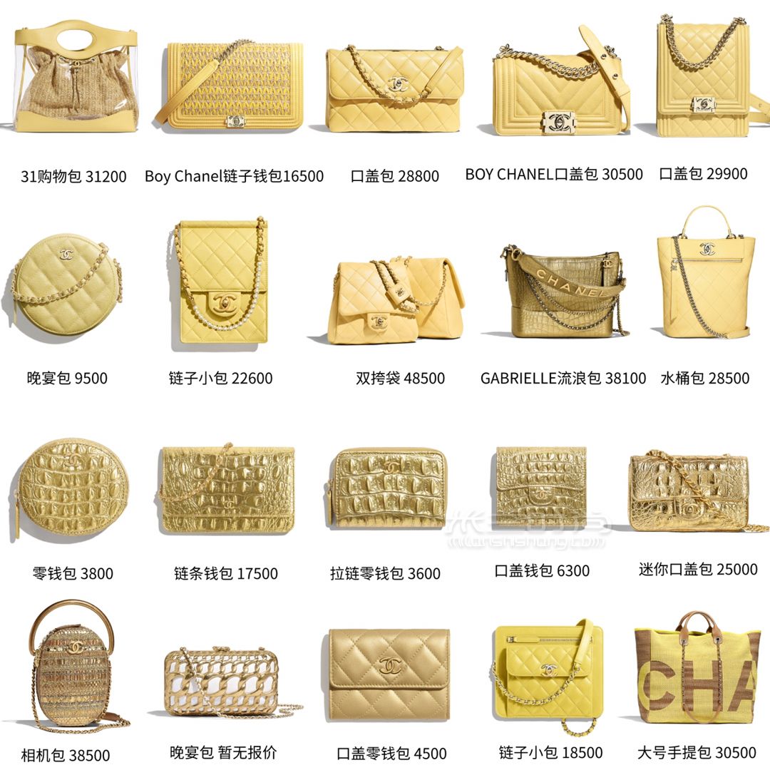 天啦嚕Chanel包包2019春夏新款太美了 (3)