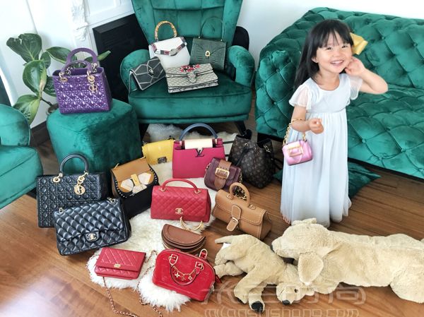家庭主婦10個(gè)奢侈品包實(shí)用測(cè)評(píng)集合買(mǎi)包圣經(jīng)！吐血分享！ 真理_1