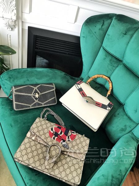 家庭主婦10個(gè)奢侈品包實(shí)用測(cè)評(píng)集合買(mǎi)包圣經(jīng)！吐血分享！ 真理_3