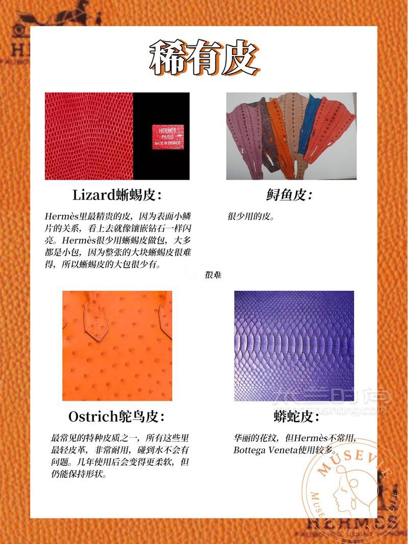 貴婦必備愛(ài)馬仕皮質(zhì)科普大全_7