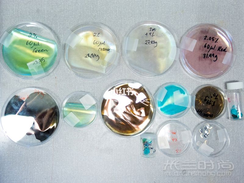 可持續(xù)材料 用樹木制成的生物塑料亮片_7