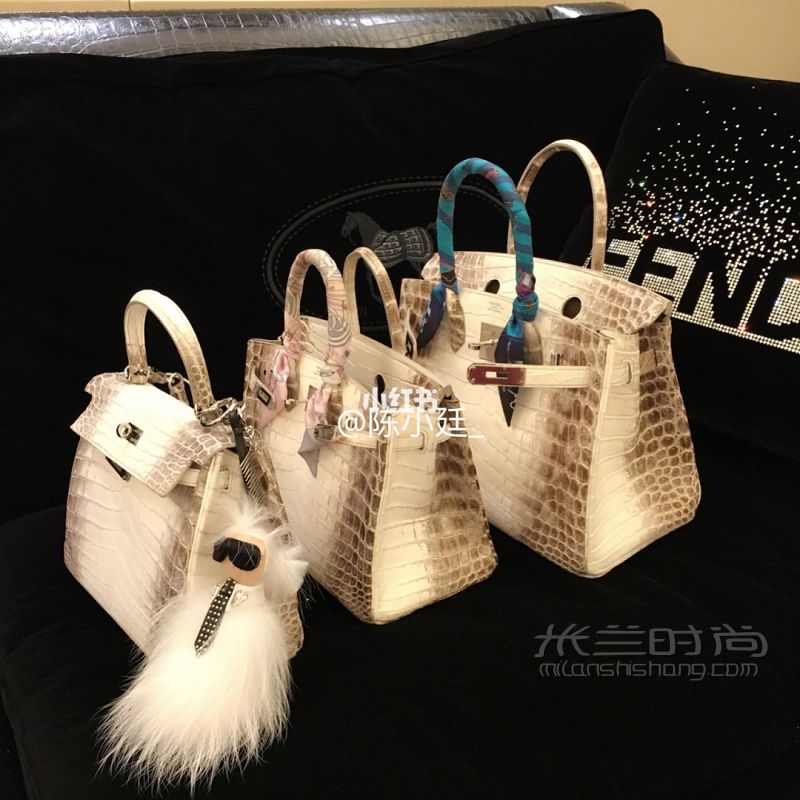 Hermes 愛(ài)馬仕himalaya 喜馬拉雅Birkin25 30 and Kelly25_1