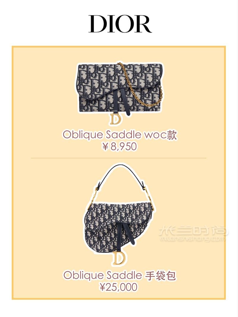 一萬元買大牌經典包款？WOC鏈條包合集_2
