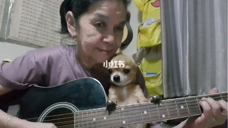 超酷泰國(guó)老奶奶吉他彈唱《HeyJude》_1