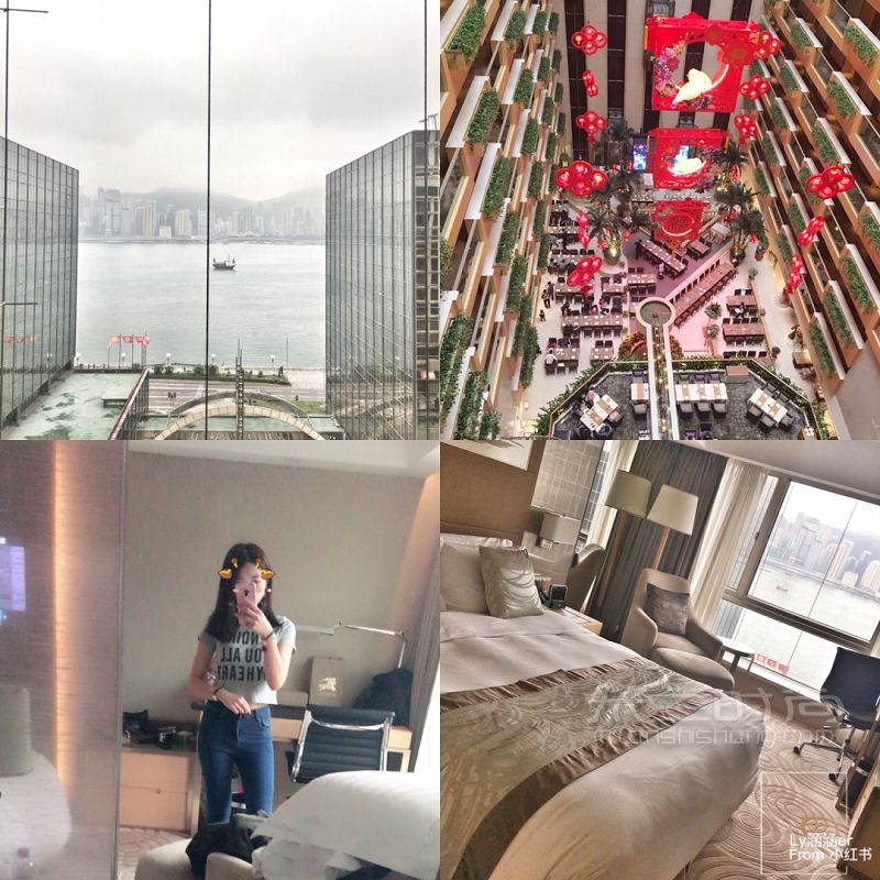 香港7天6晚自由行攻略 尖沙咀旺角銅鑼灣茶餐廳盤點(diǎn)_5
