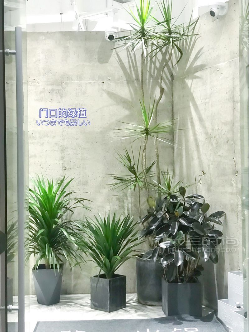 寧波最美火鍋店 寧波好吃又便宜的火鍋店有哪些？_3